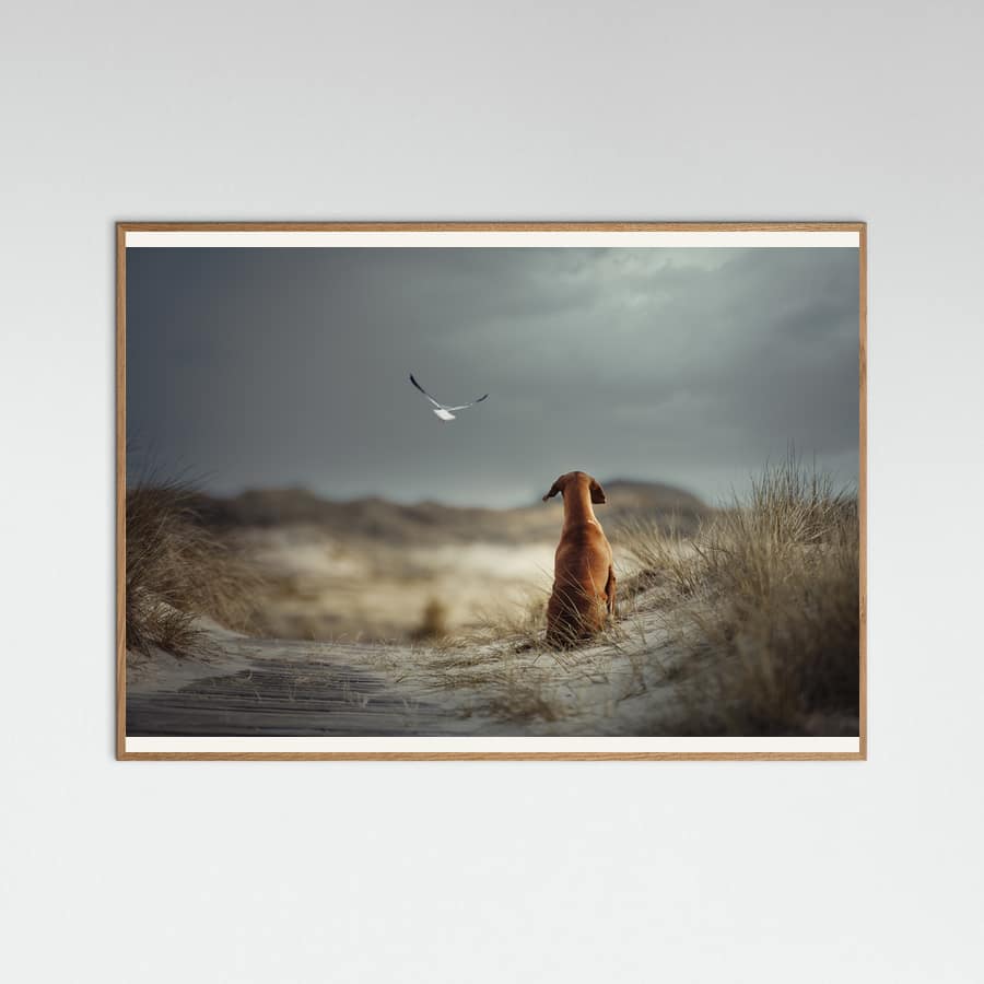 Heike Willers
