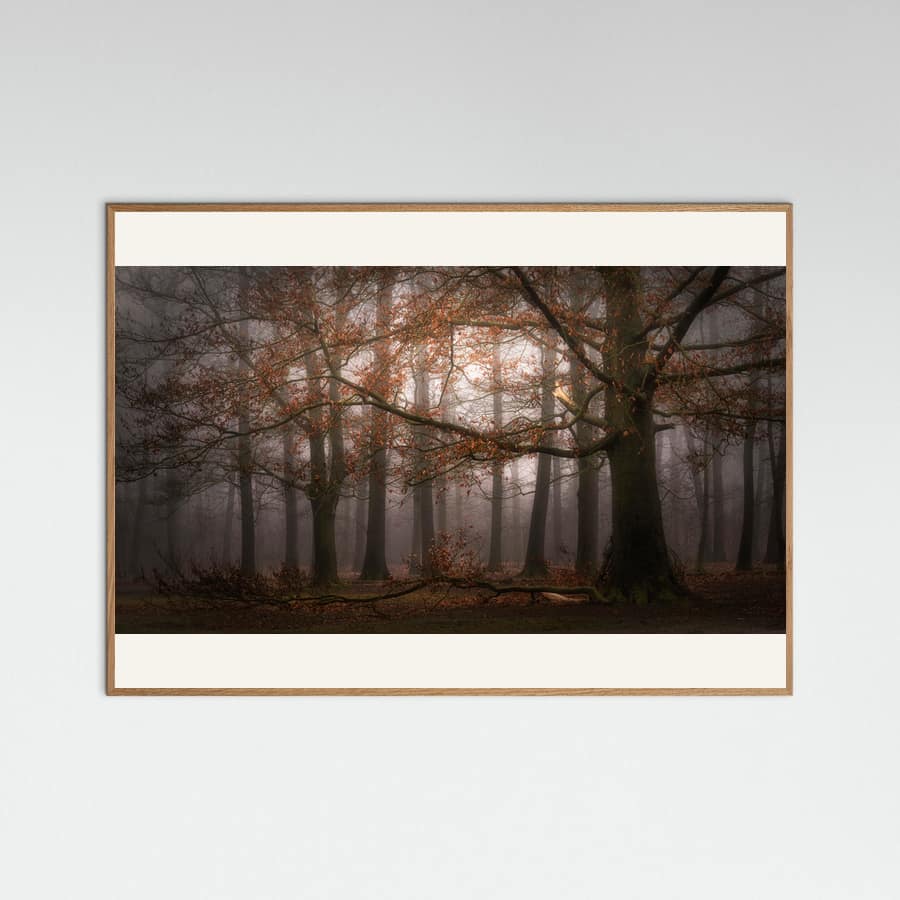 Saskia Dingemans