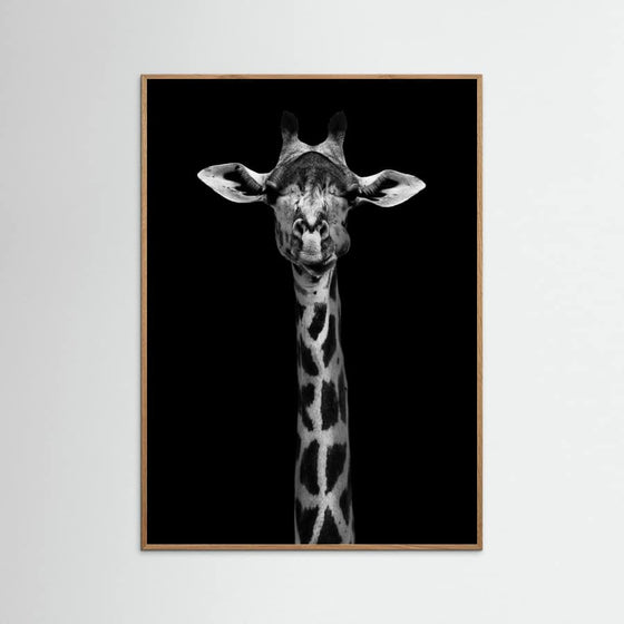 Wild Photo Art