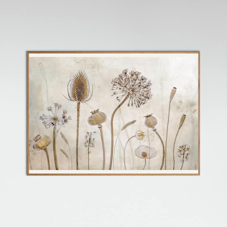 Mandy Disher