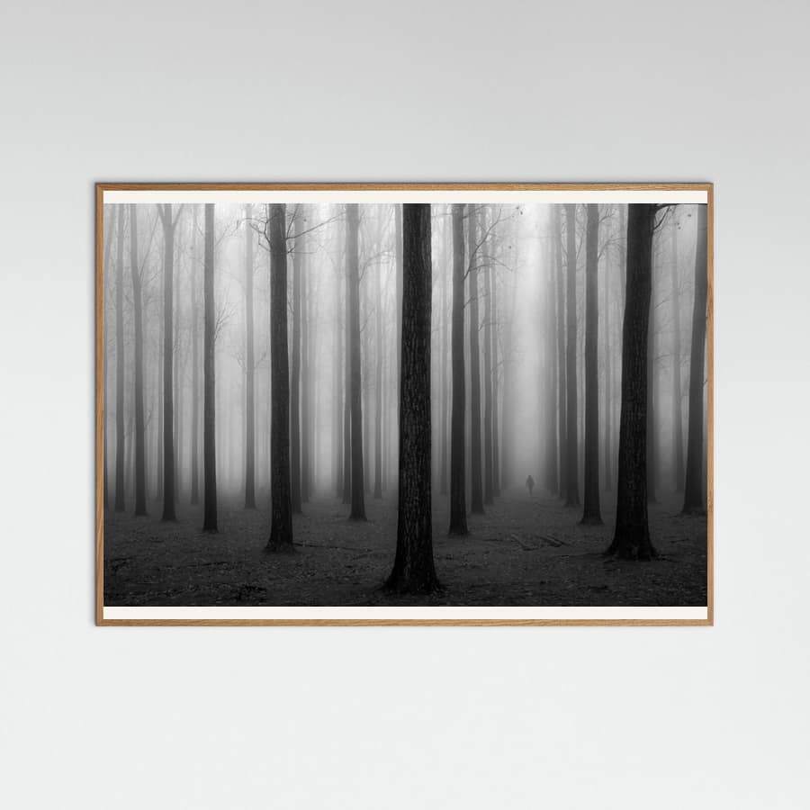 Jochen Bongaerts