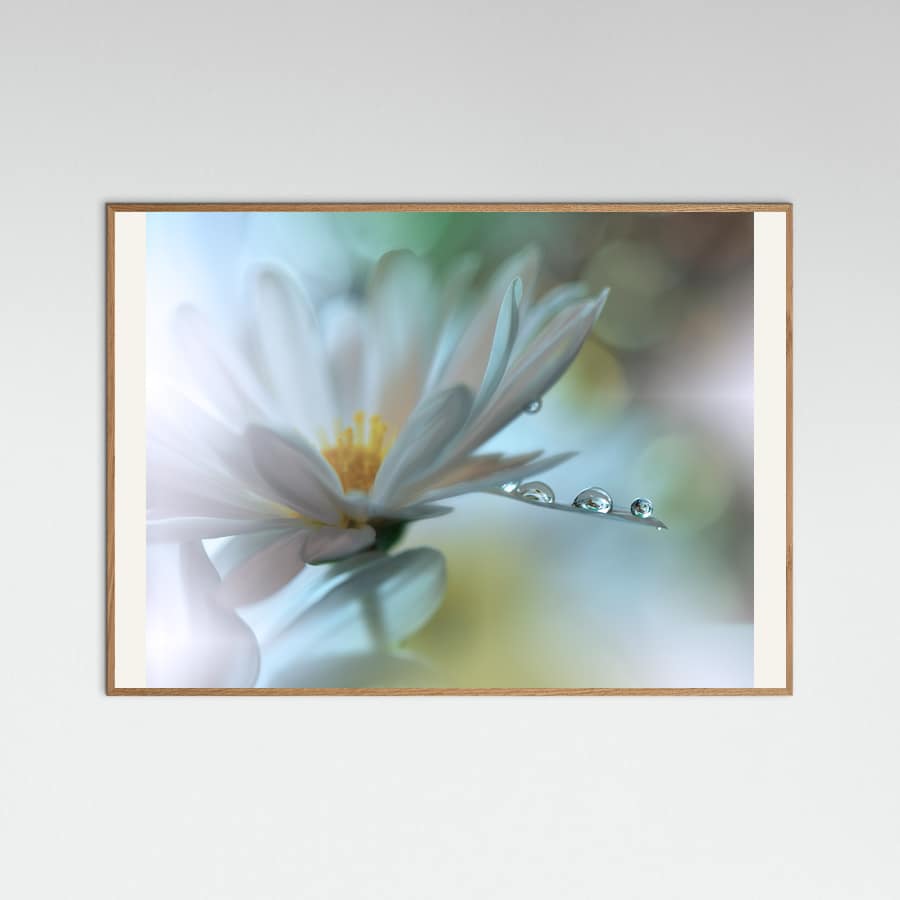 Juliana Nan