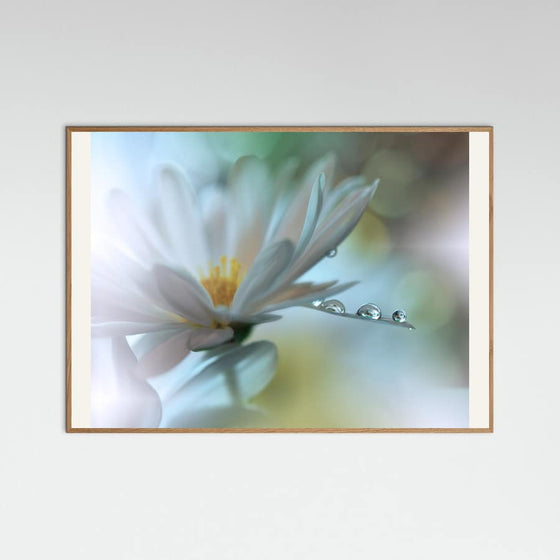 Juliana Nan