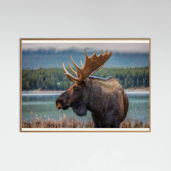 Juan Romero Salamanca