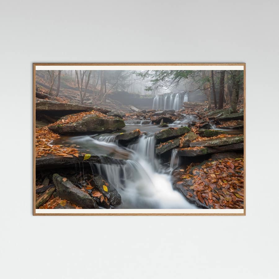 Nick Kalathas