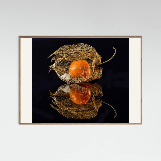 Klaus Grosshanten