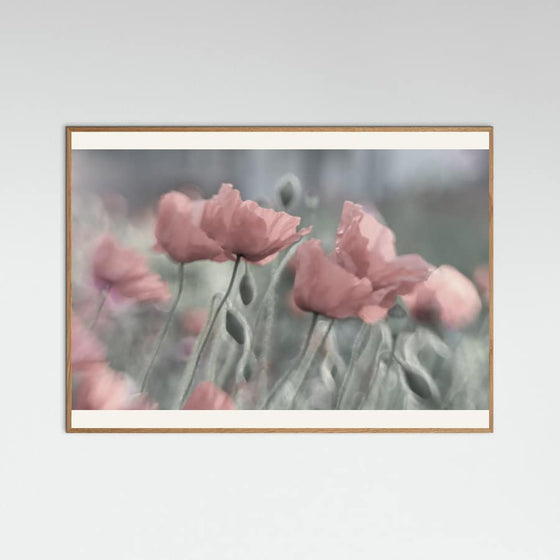 Anne Worner