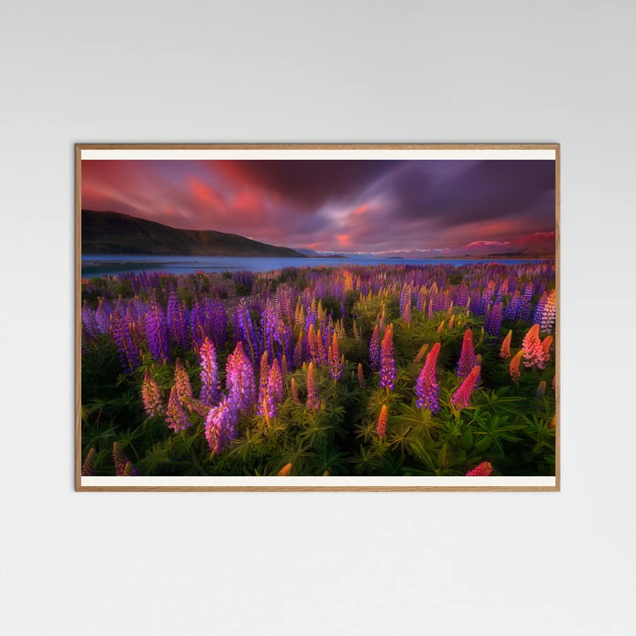 Patrick Marson Ong
