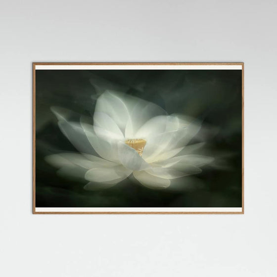 Qing Zhao