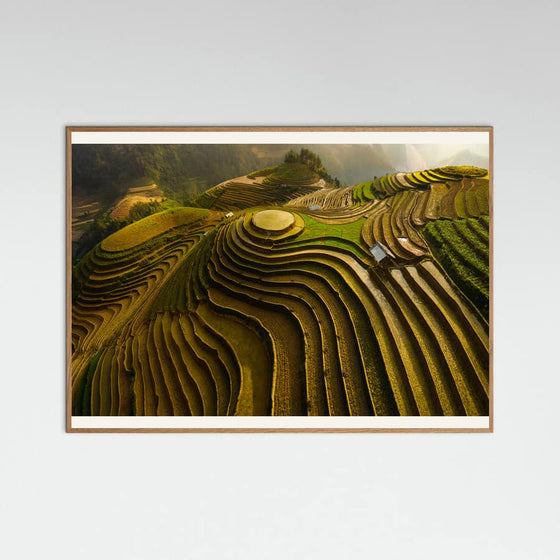 Phat Dao Tan