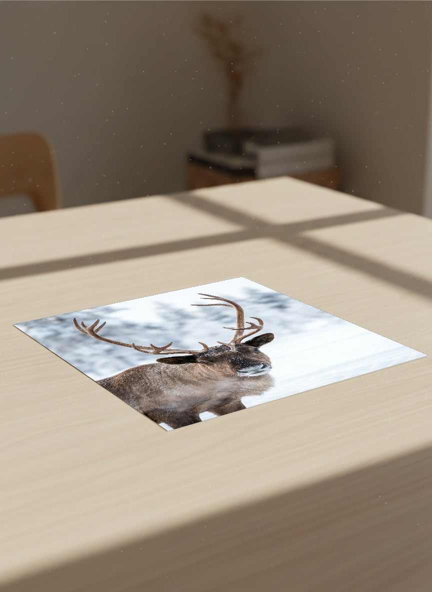 Auto-generated Mockup