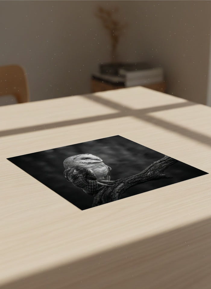 Auto-generated Mockup