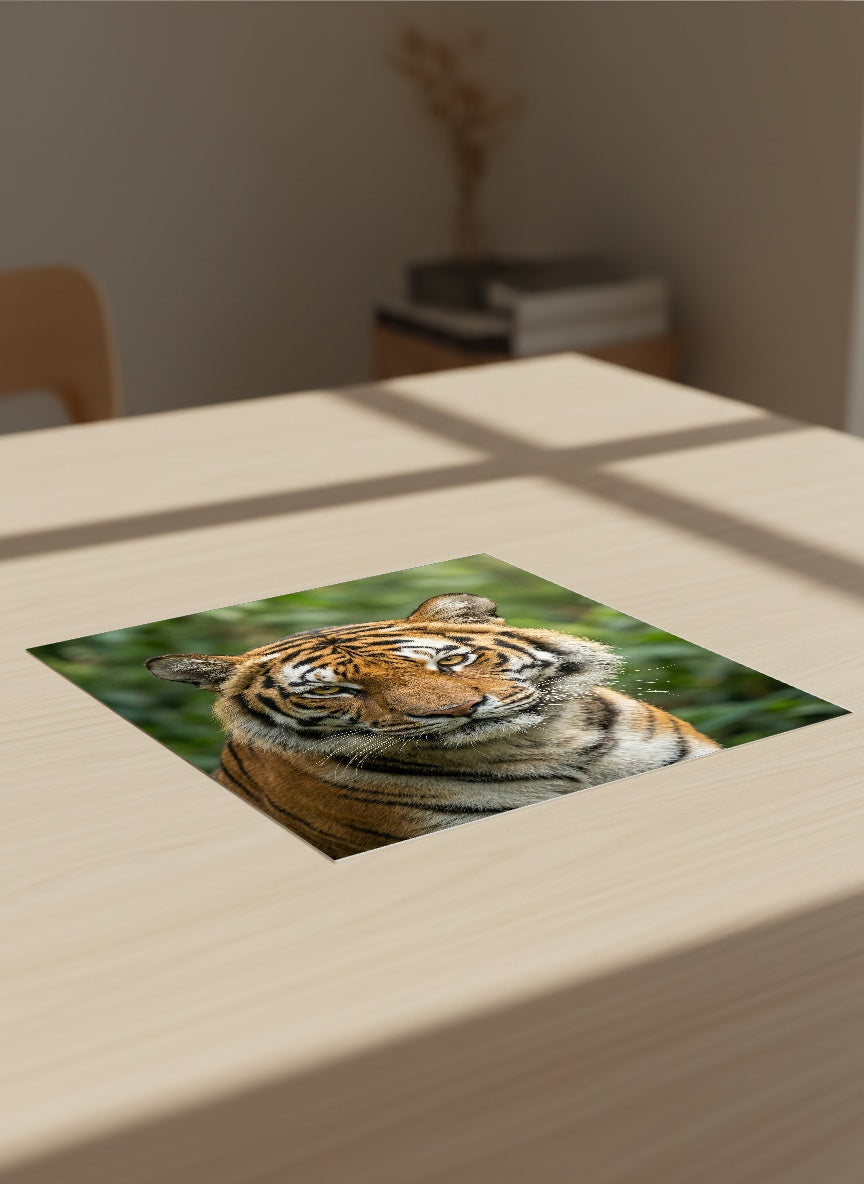 Auto-generated Mockup