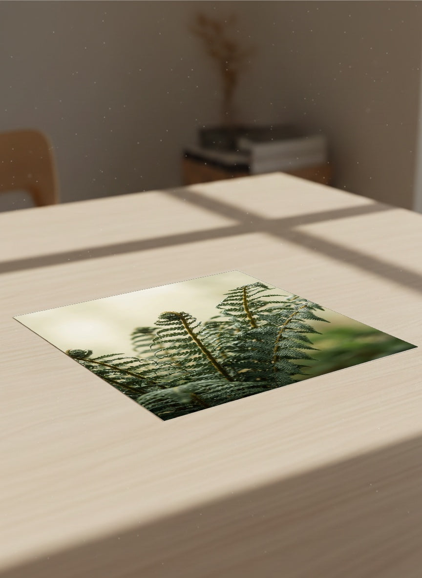 Auto-generated Mockup