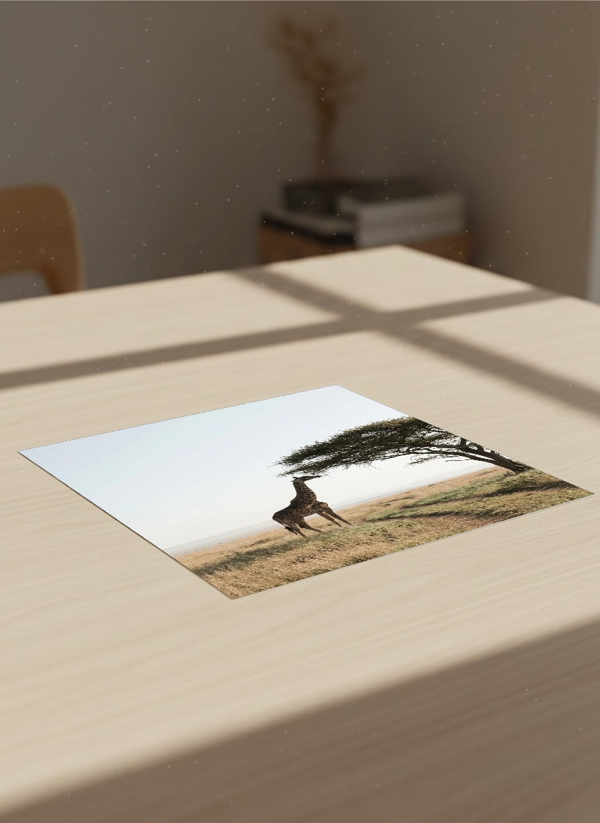 Auto-generated Mockup