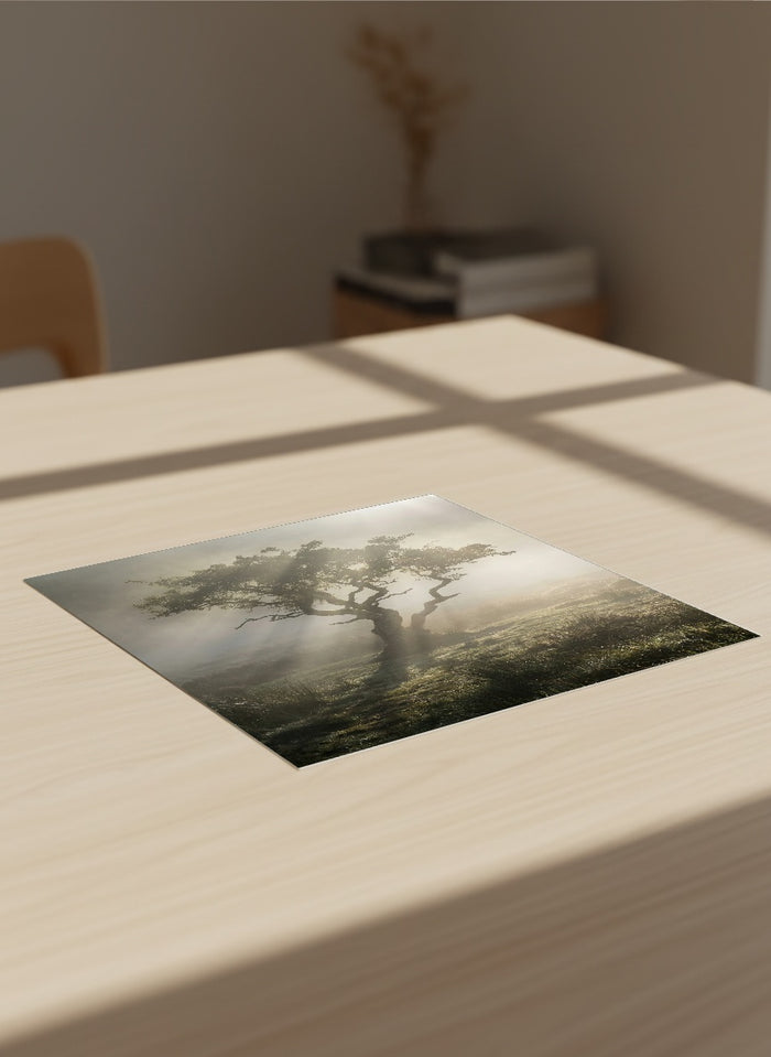 Auto-generated Mockup