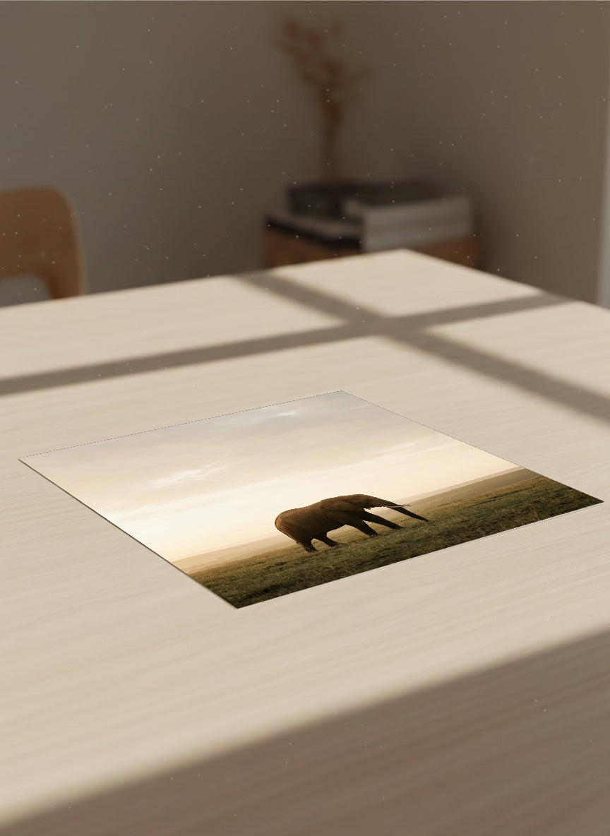 Auto-generated Mockup