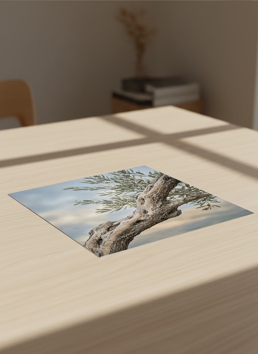 Auto-generated Mockup