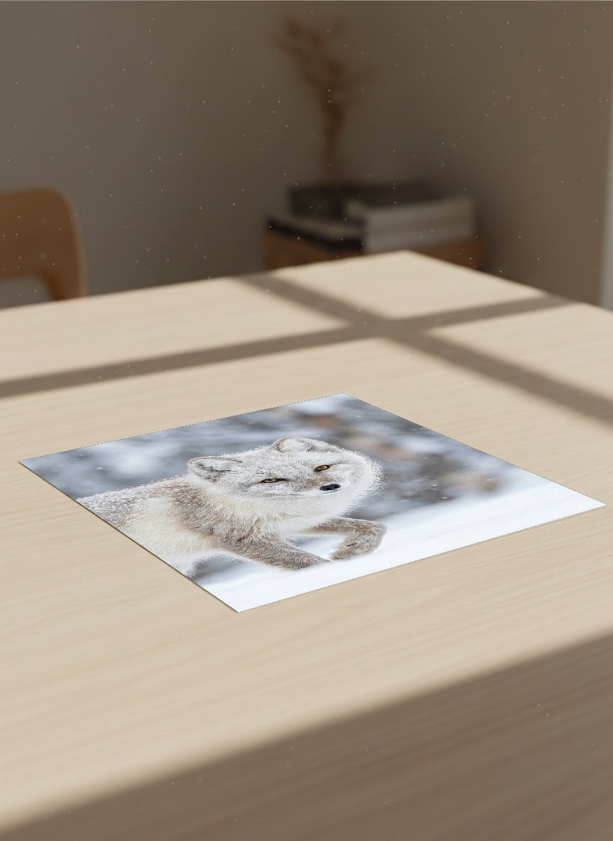 Auto-generated Mockup