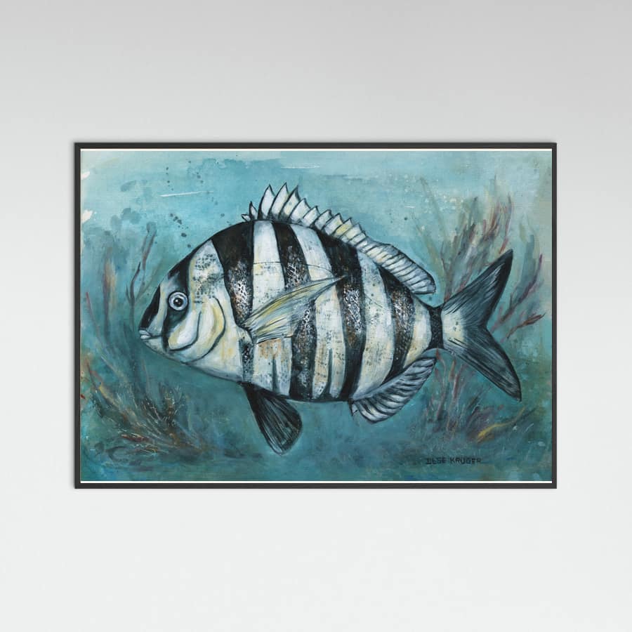 240 Zebra Master Poster – Poster und Kunstdruck