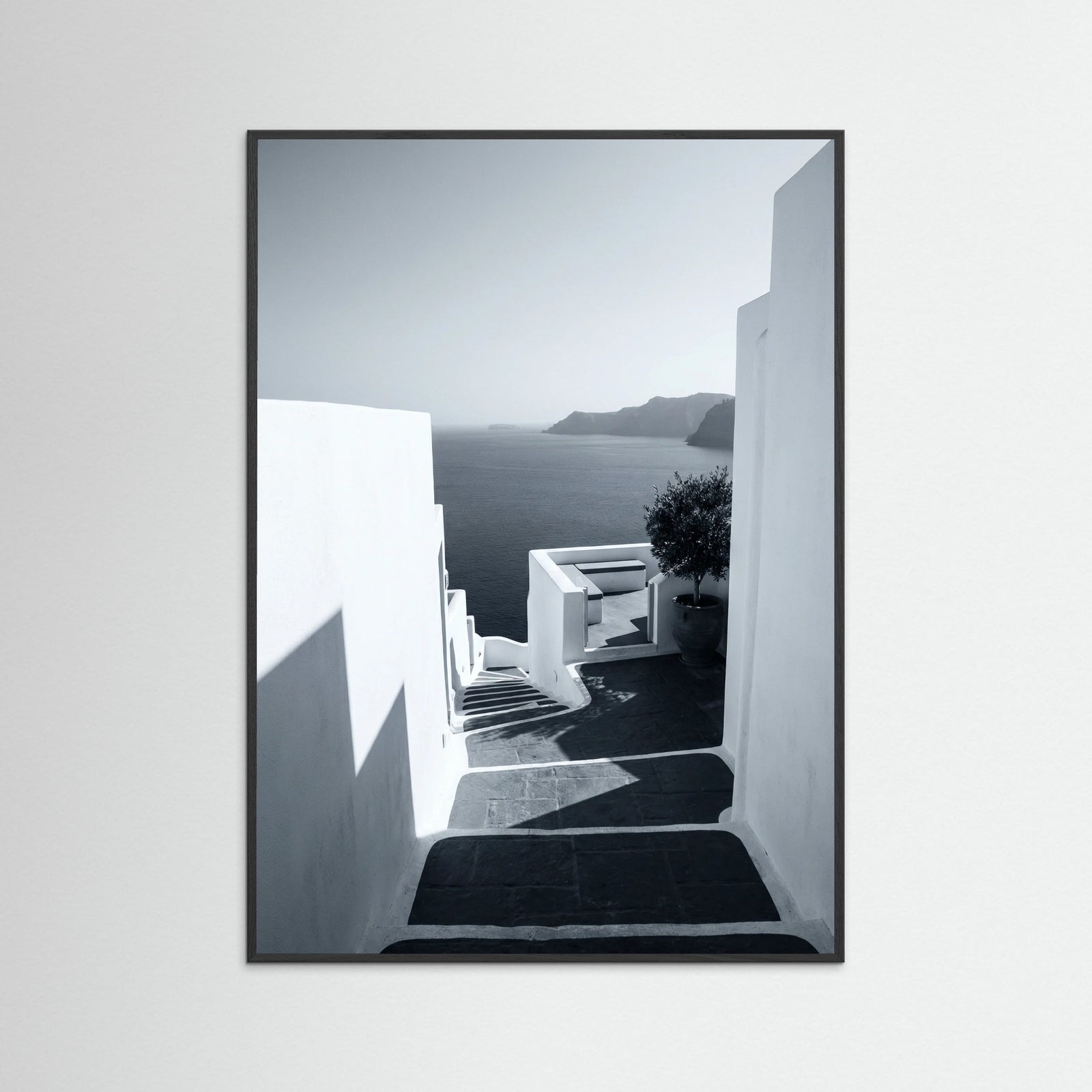 Black Wood Aegean Ascent