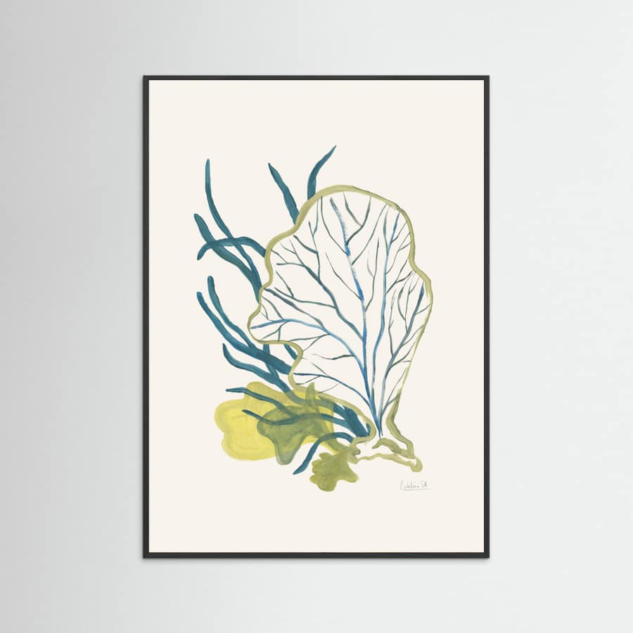 Algae No1 Poster – poster and art print