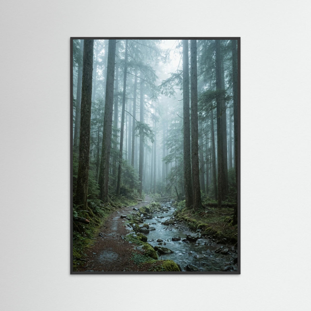 Black Wood Alpine Reflection