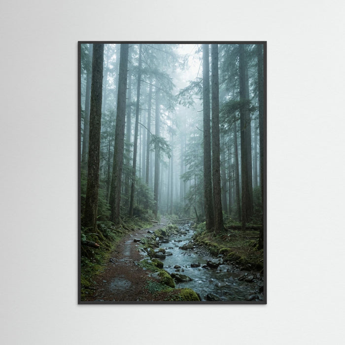 Black Wood Alpine Reflection