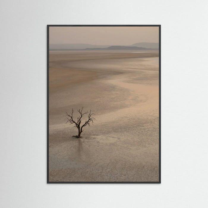 Black Wood Arid Horizon