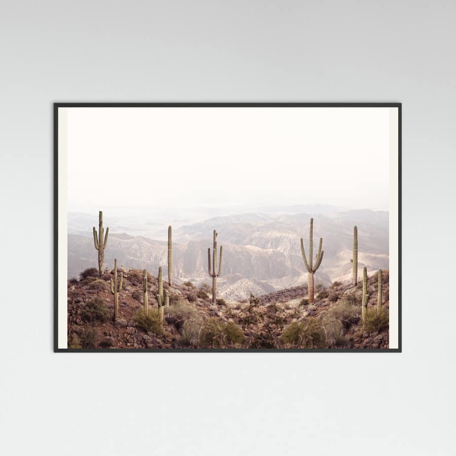 Arizona Valley Poster – plakat og kunsttryk
