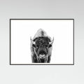 Póster Bison Bw – póster e impresión artística