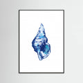 Poster Blue Seashell On White Background No 2 – poster e stampa artistica