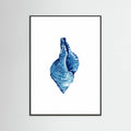 Affiche Blue Seashell On White Background No3 – affiche et impression d’art