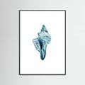 Blue Seashell On White Background No4 Poster – poster och konsttryck