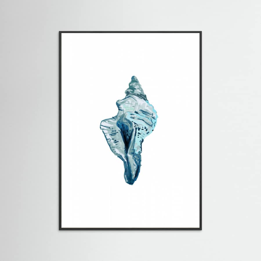 Blue Seashell On White Background No4 Poster – poster och konsttryck