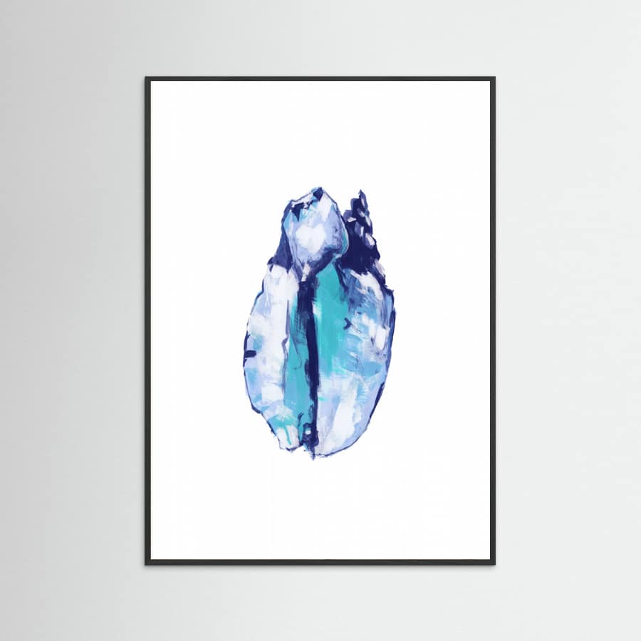Blue Seashell On White Background No5 Poster – Poster und Kunstdruck