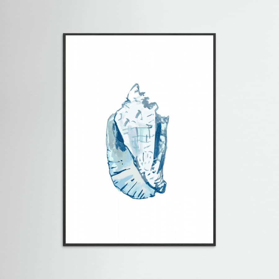 Blue Seashell On White Background No6 Poster – plakat og kunsttryk