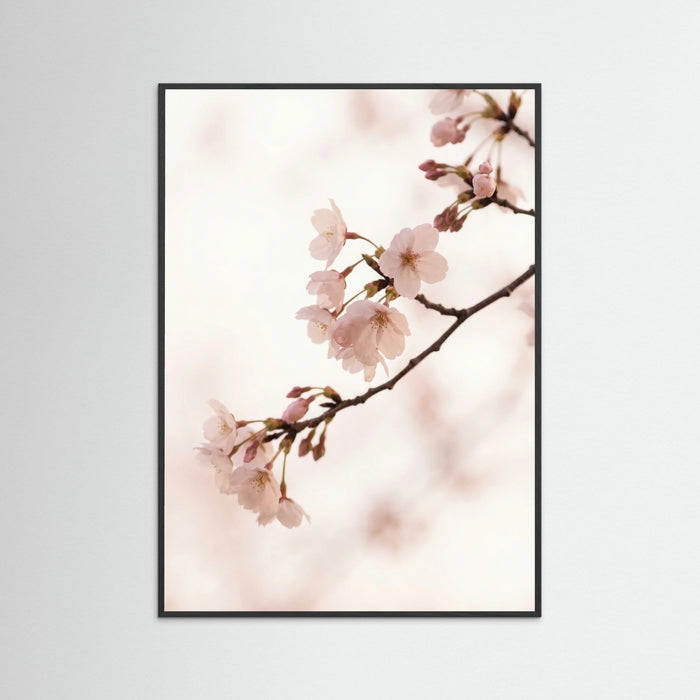 Black Wood Blushing Branches