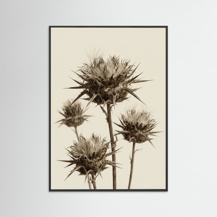 Black Wood Botanical Elegance
