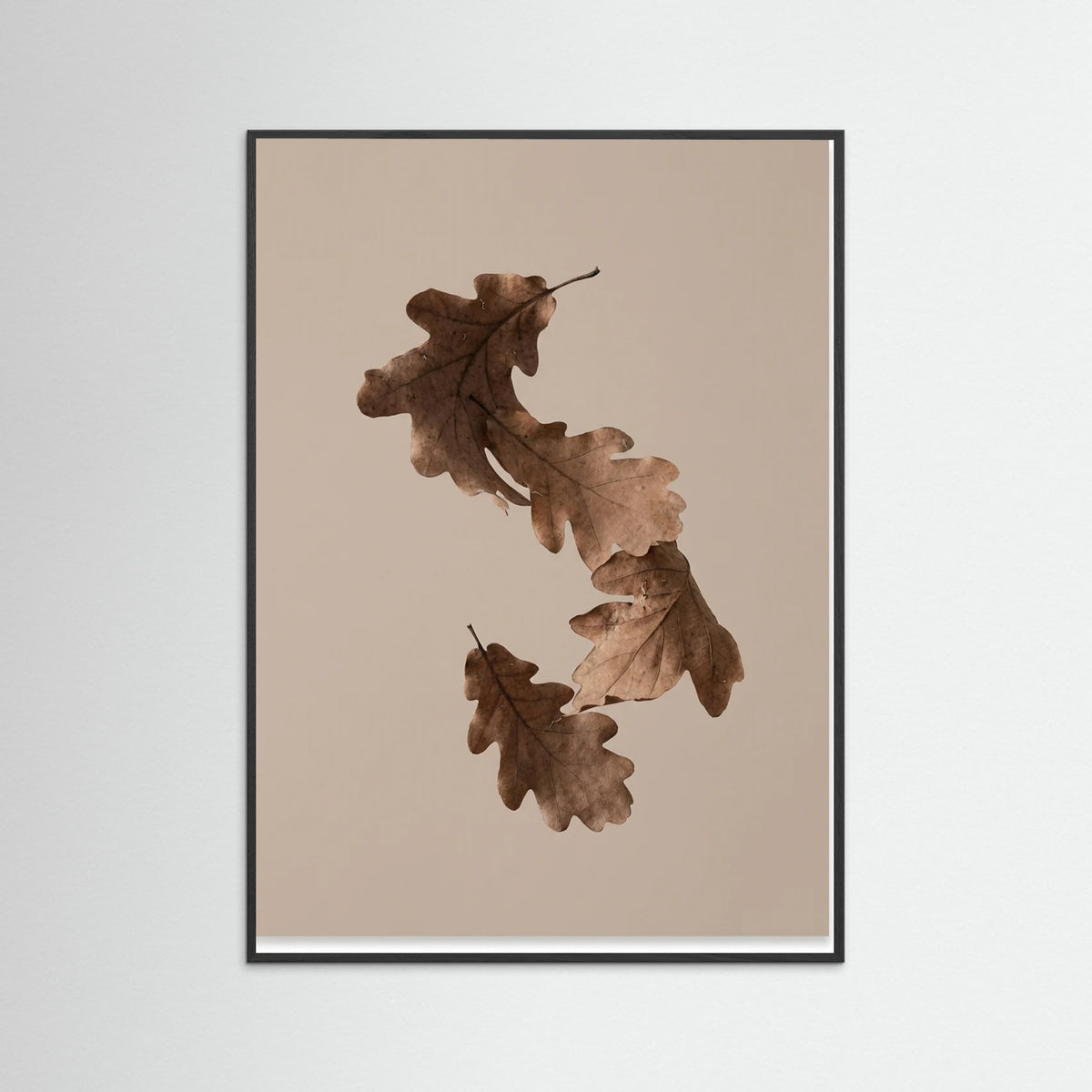 Black Wood Botanical Forms