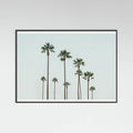 Póster Cali Palms – póster e impresión artística