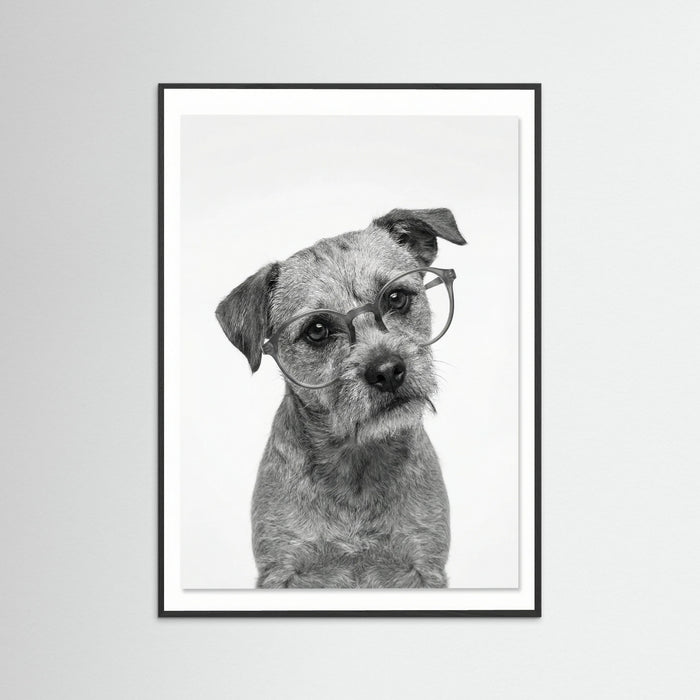 Black Wood Canine Companions