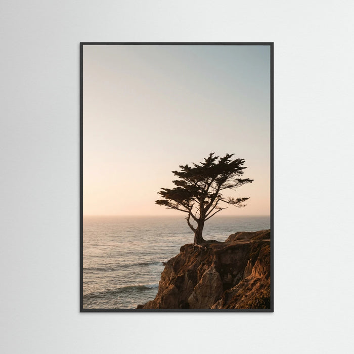 Black Wood Coastal Horizon