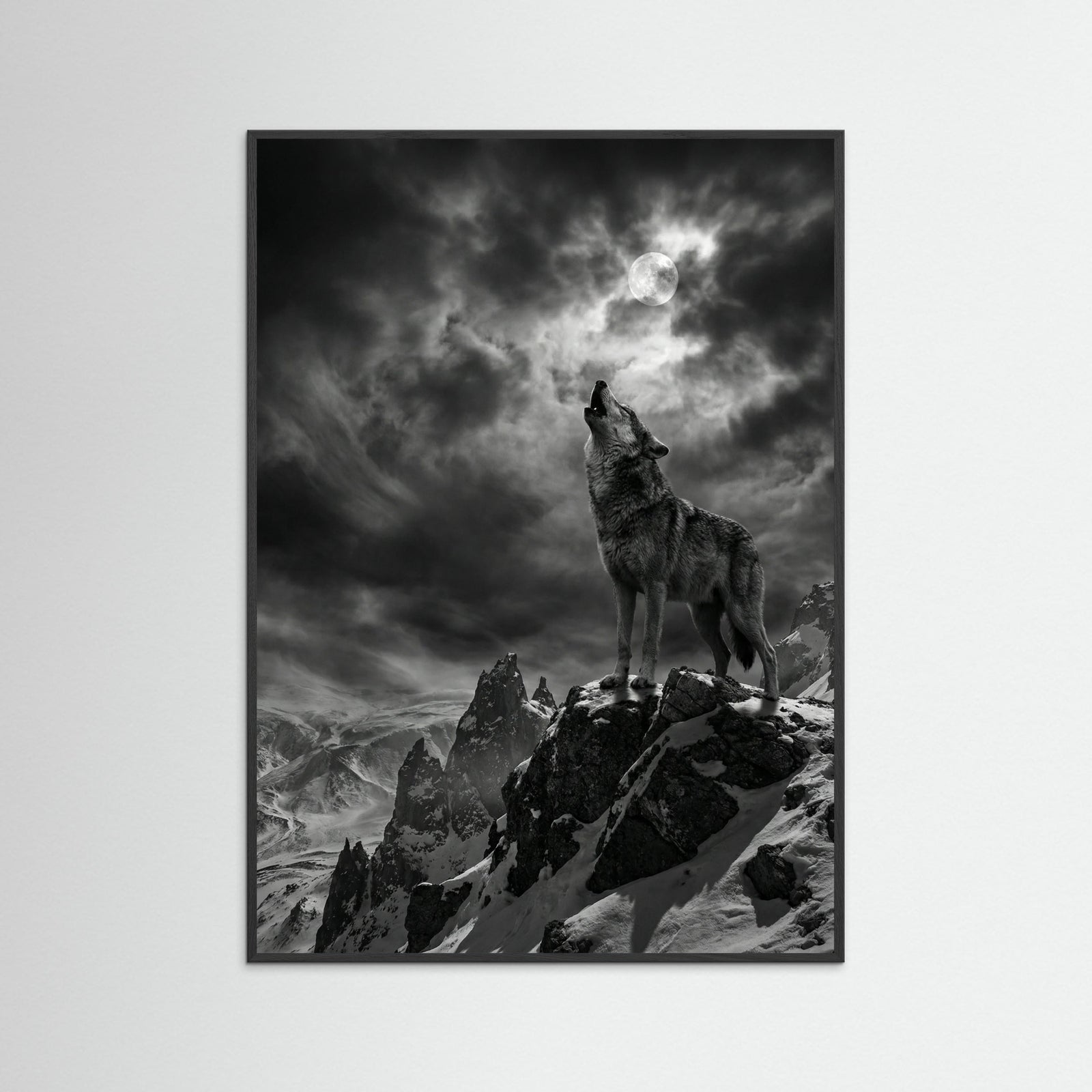 Black Wood Coastal Majesty