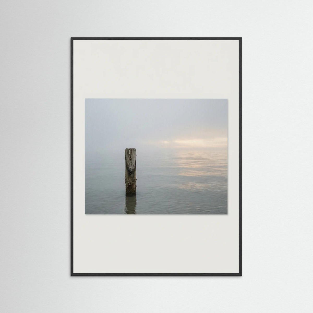 Black Wood Coastal Paths