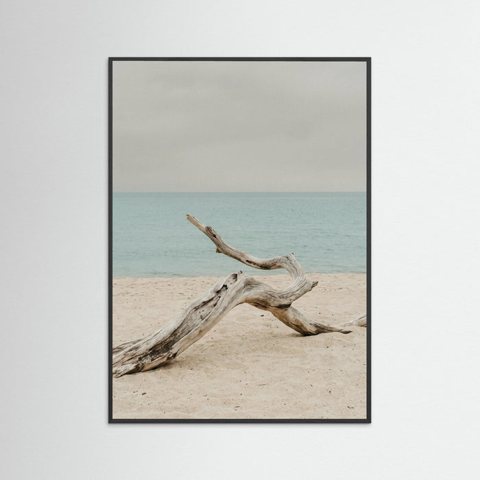 Black Wood Coastal Seren