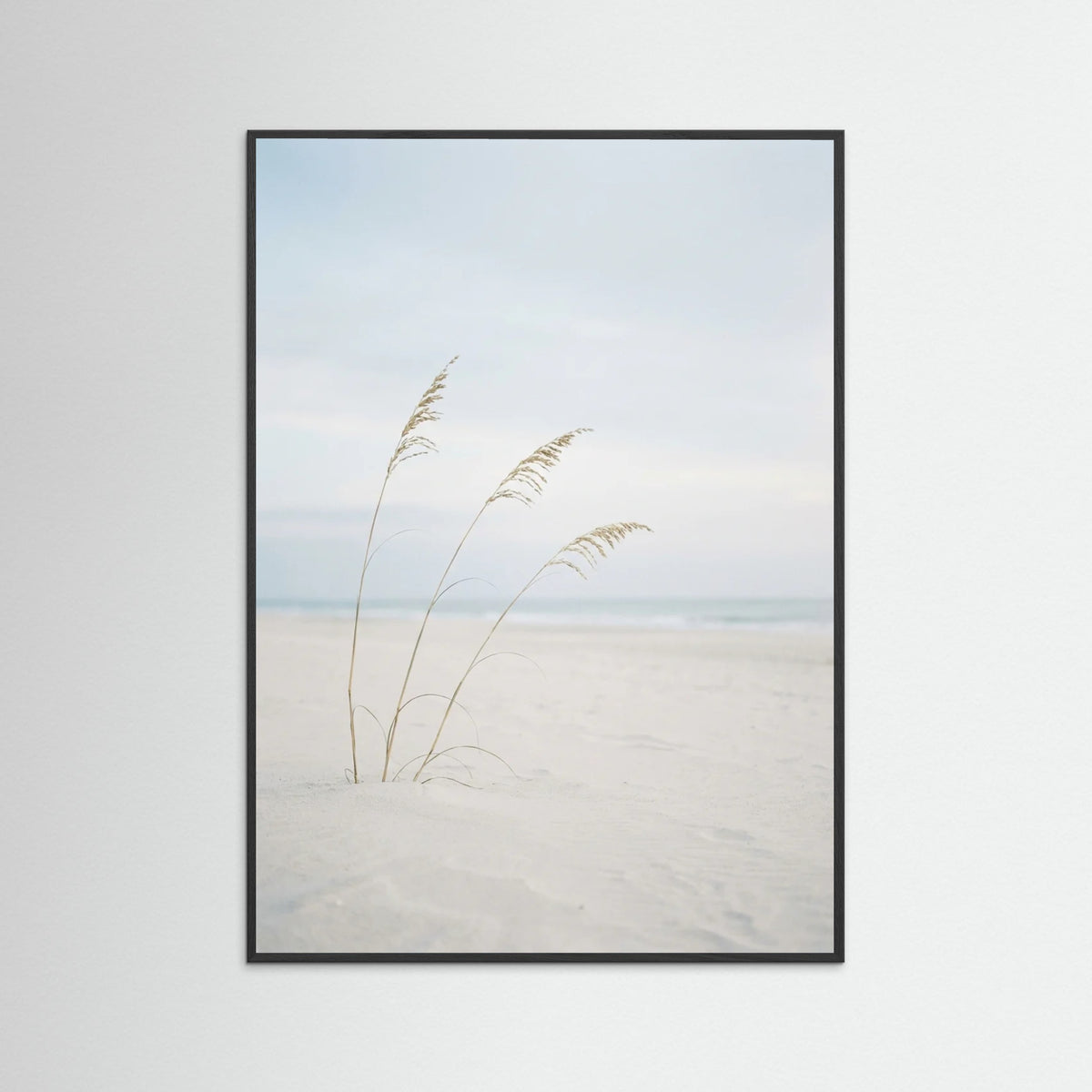 Black Wood Coastal Serenity