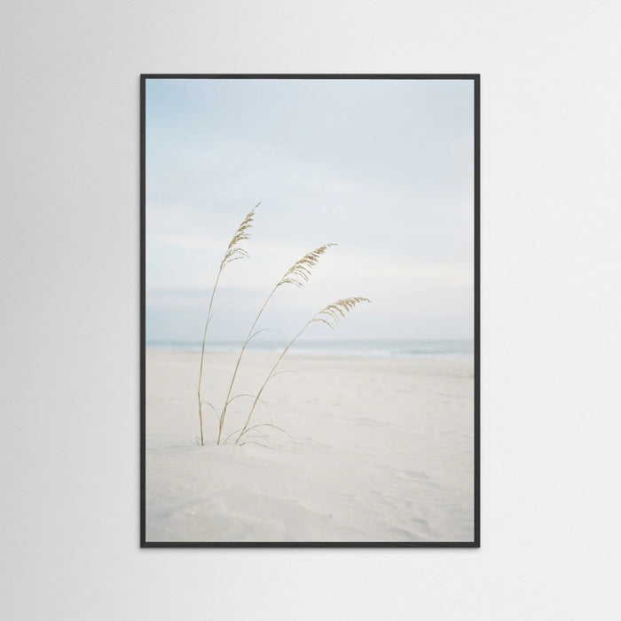 Black Wood Coastal Serenity