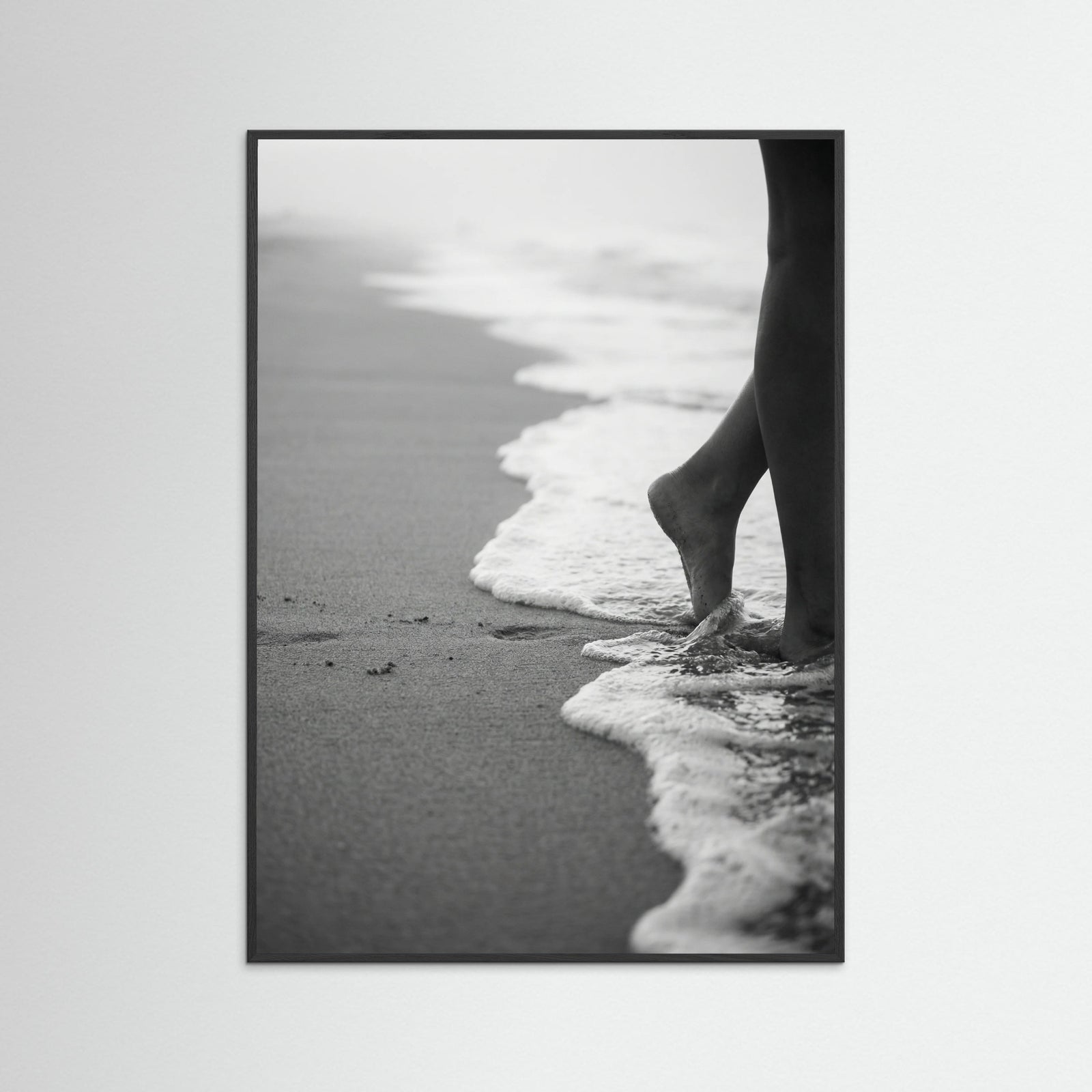 Black Wood Coastal Wanderer