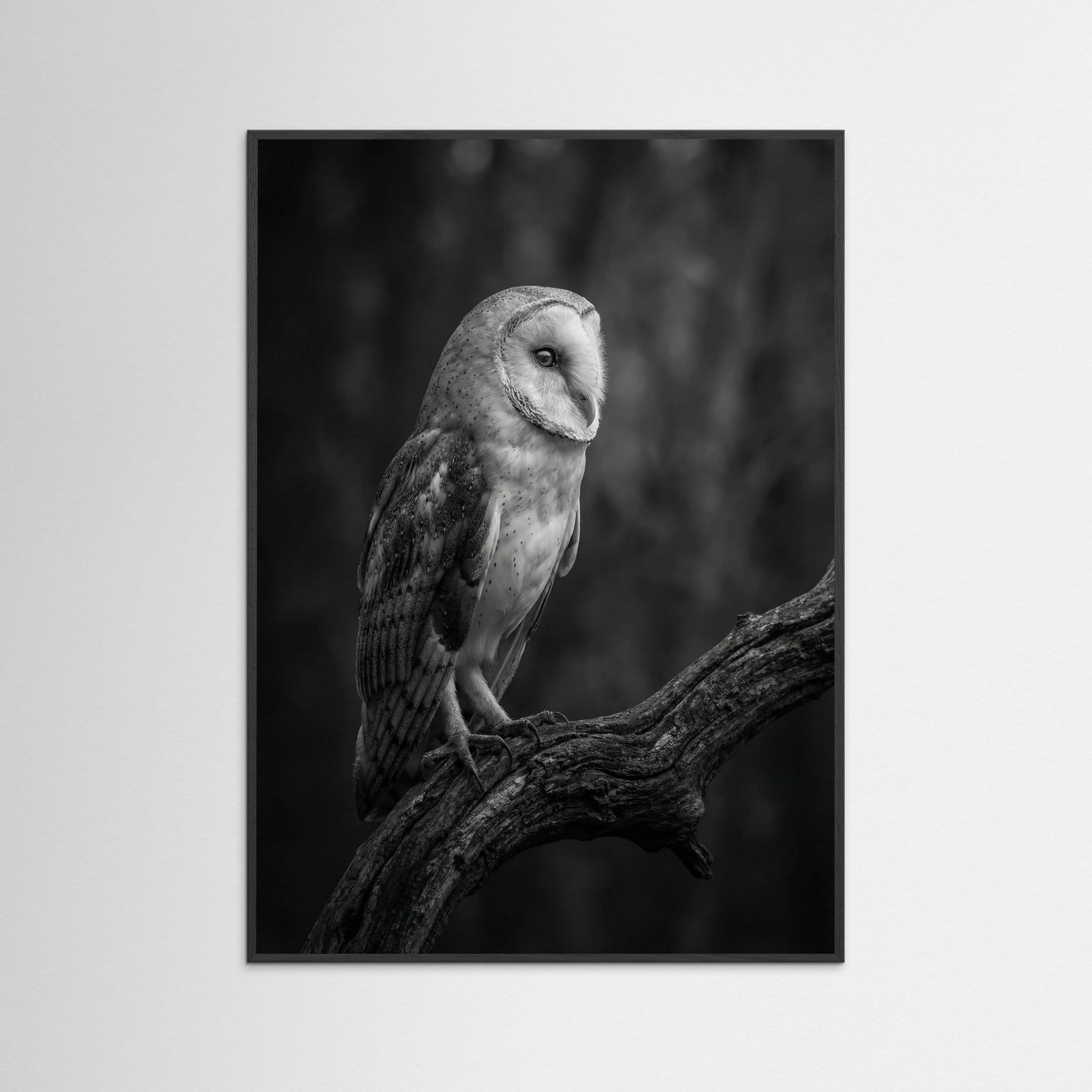 Black Wood Contrasting Companions